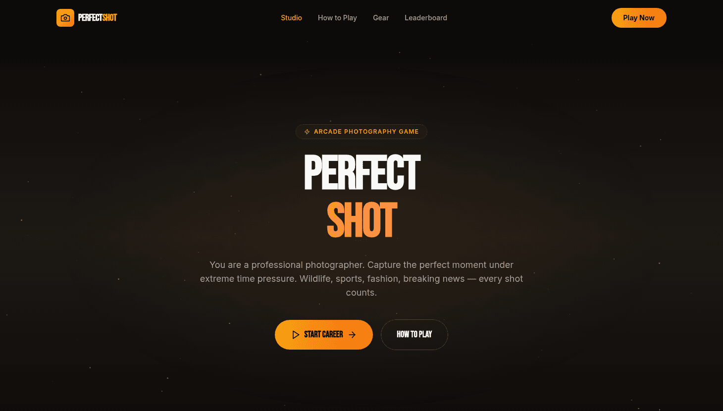 Perfect Shot Arcade Game